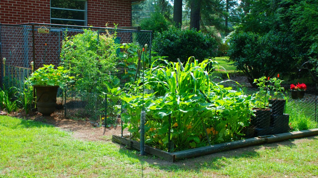 Greening Backyard Vegetable&nbsp;Gardens