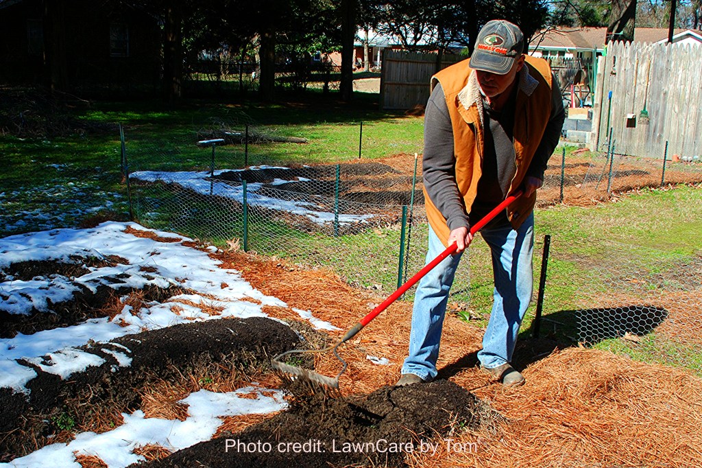 Organic Soil Preparation for Strong and Healthy Plants