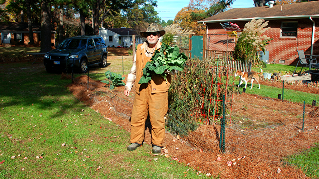Sweetening Collard Greens: Benefits of Frost Harvesting