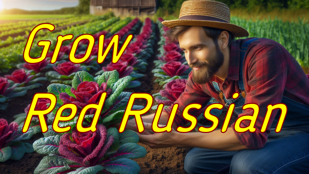 The Benefits of Growing Red Russian Kale
