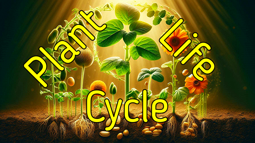 Understanding the Plant Life Cycle: From Seed to&nbsp;Senescence